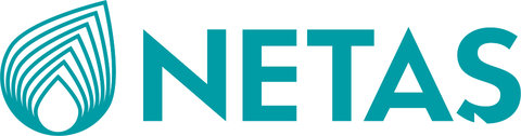 NETAŞ logo